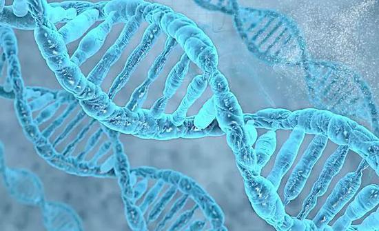 当再生医学与生物工程碰撞，逆转衰老终成现实