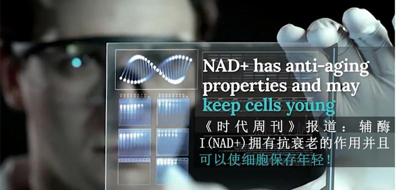 美国NOVIS破译长寿密码 持有人类二次生命金钥匙