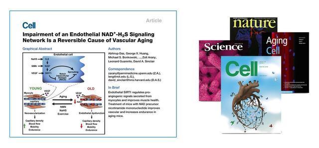 NAD+逆转衰老新成果问世，你愿意为它买单吗？