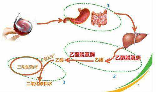 一酒抵十烟？喝酒又抽烟，法力无边