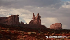 科研突破寿命极限，诺加因子有望圆人均百龄