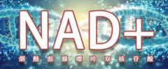 NMN实力抗衰老NOVIS