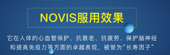 诺维斯