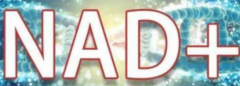 诺维斯抗衰老NAD+逆转老化